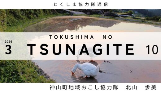 とくしま協力隊通信 TSUNAGITE 【10 北山 歩美さん】